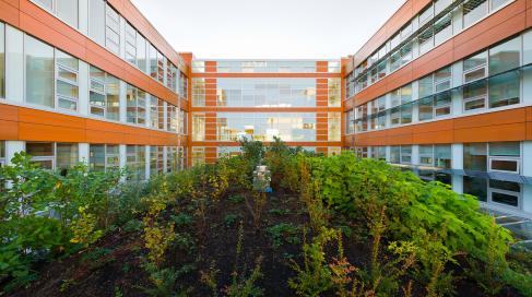The living roof performs important ecological services at both the building and the campus scale.