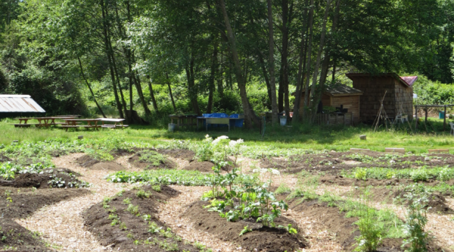 Garden Garden