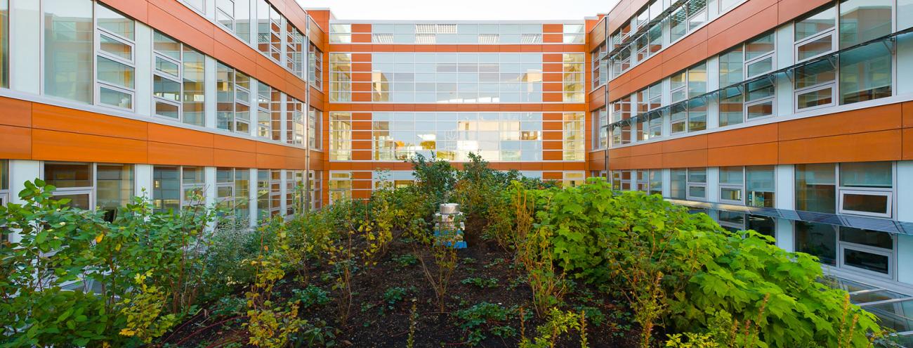 The living roof performs important ecological services at both the building and the campus scale.