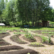 Garden Garden