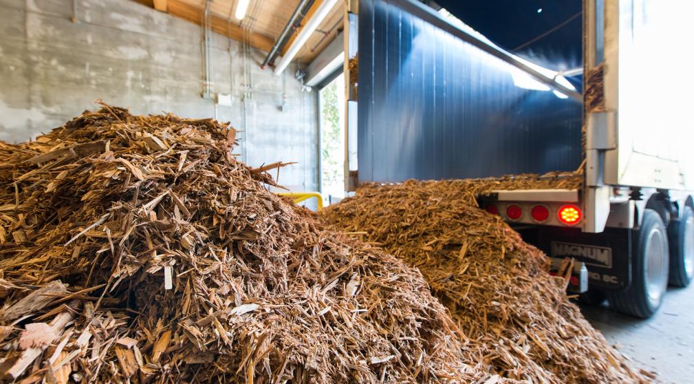 Wood waste diverted from landfill is transformed into wood chips and delivered to the BRDF facility.