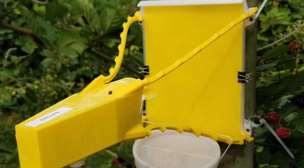 Automatic insect monitoring devices like this one were installed throughout the UBC campus. Automatic insect monitoring devices like this one were installed throughout the UBC campus.