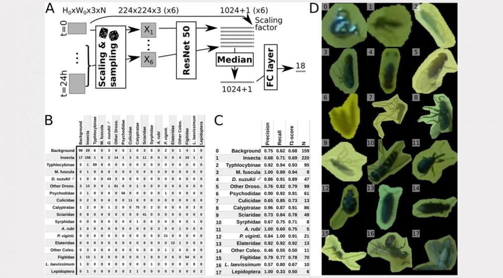 Insect maps can serve as a warning system against invasive species, pest outbreaks and detection of new species. Insect maps can serve as a warning system against invasive species, pest outbreaks and detection of new species.