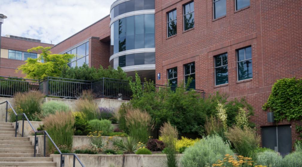 UBC Okanagan L