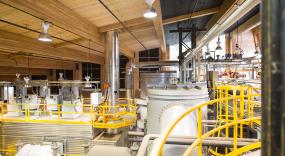 Biomass is gasified or combusted to generate thermal energy for the UBC buildings.