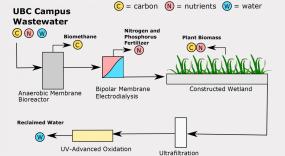 Carbon and nutrients can be recovered from waste water and biosolids to generate renewable resources.